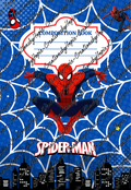 Spider Notebook Cover