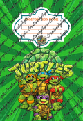 Turtles Notebook Cover